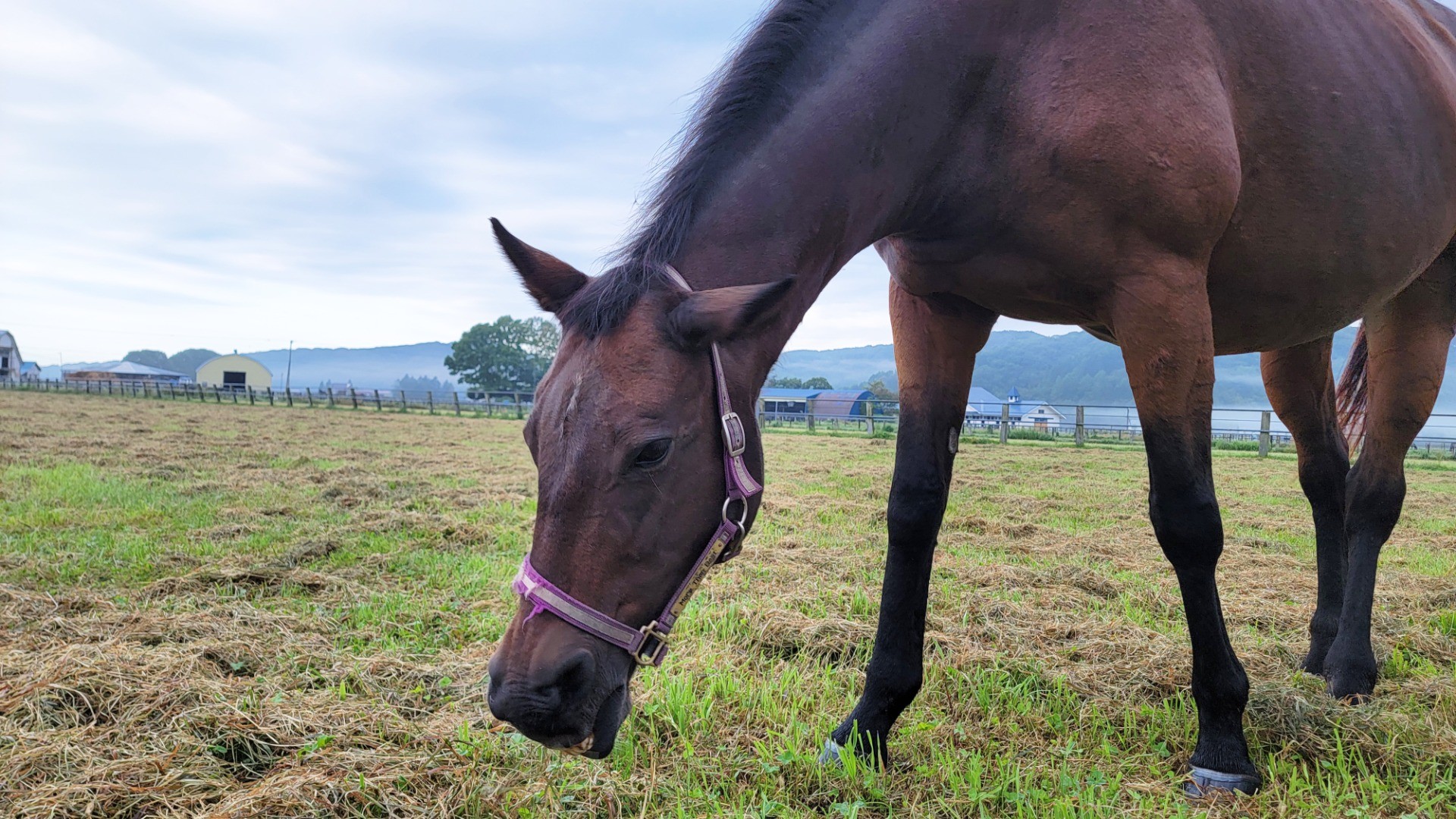 81f66b64d95a32c588d345a771912ee1-1760934132.jpg 81f66b64d95a32c588d345a771912ee1-1760934132.jpg